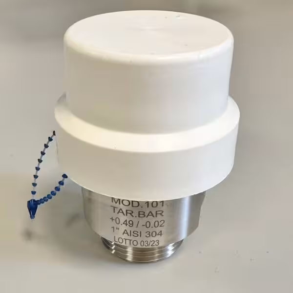 Two-way safety valve 1