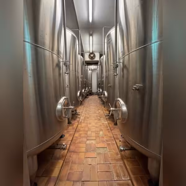 Serbatoio di stoccaggio verticale da 5982 litri per birrificio in V2A