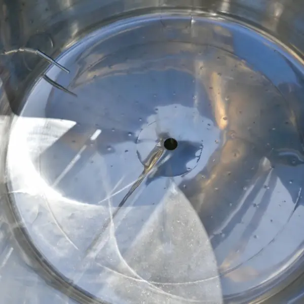 Recipiente calefactable/refrigerable de 650 litros en acero inoxidable 316