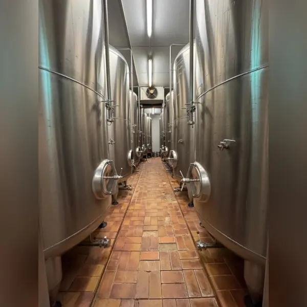 Serbatoio di stoccaggio verticale da 5982 litri per birrificio in V2A