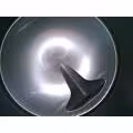 Serbatoio da 1000 litri in acciaio inox 304 (con foro manuale aggiuntivo)