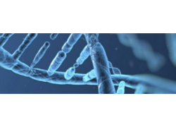 Logo: Project Engineer bei globalem Life-Sciences Unternehmen